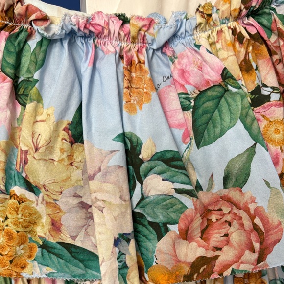 🩵🩷CARA CARA 🩷🩵 Marta Floral Midi Dress size 0 / $595 retail - Picture 5 of 14